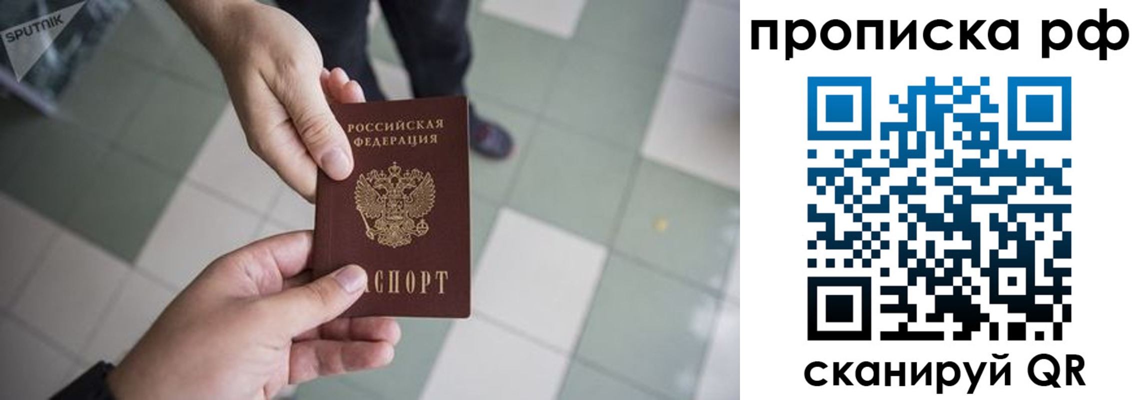 прописка гарантия в Коммунаре